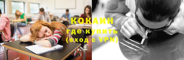 дмт Богородицк