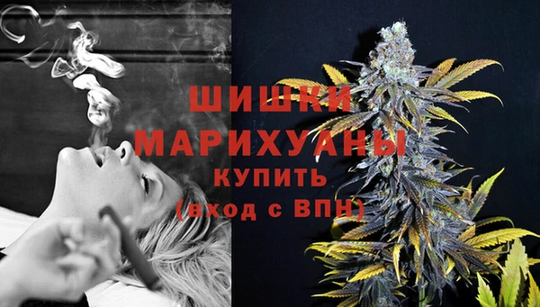 дмт Богородицк