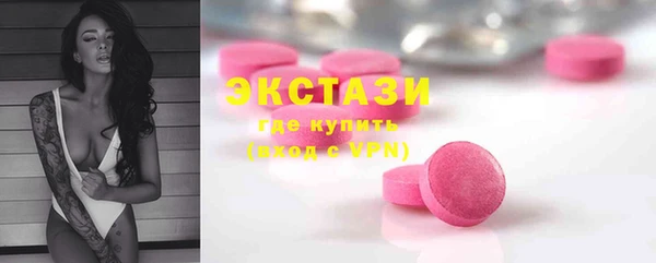 дмт Богородицк