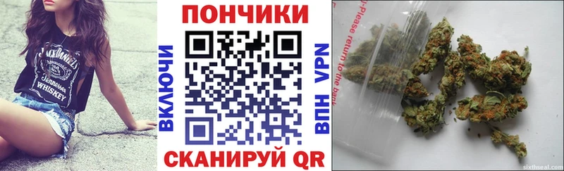 Бошки Шишки SATIVA & INDICA  kraken как зайти  Бокситогорск 