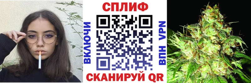 Бошки марихуана VHQ Бокситогорск